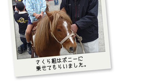 移動動物園写真