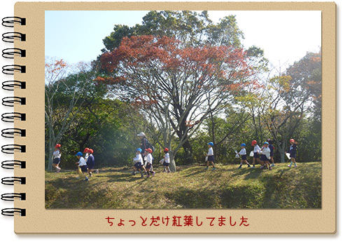 おいもやさん写真